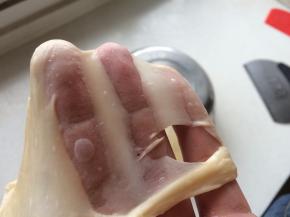 加入黄油和盐后，继续揉面团至完全状态