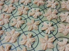 用樱花花嘴挤出形状。