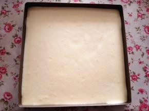 6.	倒入28*28的金盘中，表面用刮刀刮平，