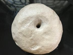 放温暖入进行发酵。