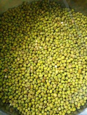 绿豆提前泡一天