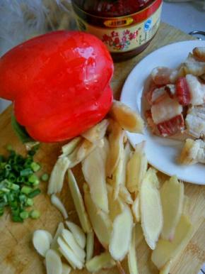 材料准备，肉切片，青红椒，仔姜切片