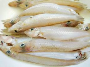 沙尖鱼去鱼鳞，鱼鳃，内脏洗净备用。