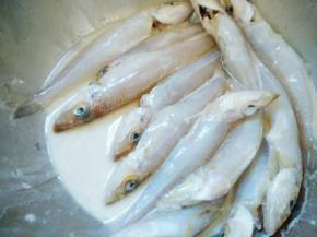 盐腌好洗净沥干水分，加入蛋清和淀粉搅匀。