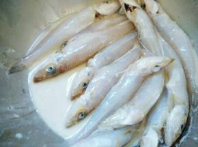 盐腌好洗净沥干水分，加入蛋清和淀粉搅匀。