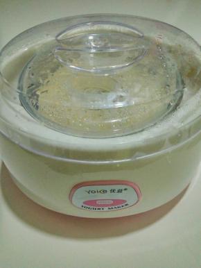 酸奶机启动电源，通电八个小时即可