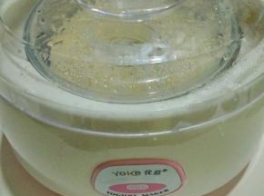 酸奶机启动电源，通电八个小时即可