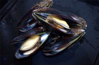 掰开青口，将依附着的泥土冲洗干净，剪去青口肚里的小草，只留一个壳装肉即可。