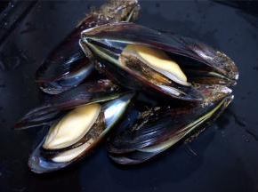 掰开青口，将依附着的泥土冲洗干净，剪去青口肚里的小草，只留一个壳装肉即可。