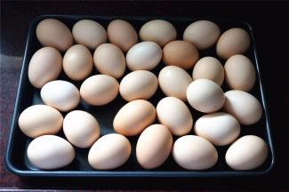 鸡蛋先用湿布擦净。