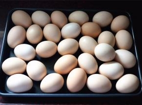 鸡蛋先用湿布擦净。