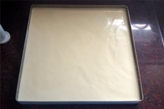 28*28cm的方盘底部铺上吸油纸，并刷上一层烤盘油。将蛋糕糊倒入，抹平并震荡出大气泡，放入烤箱中层，170度上下火15分钟后，上火调为200度（下火不变）烤5分钟上色。