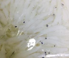 银鱼沥干水分备用