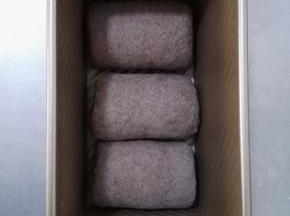 11、放入吐司模具中，烤箱置发酵档，模具入烤箱，发酵1个小时。