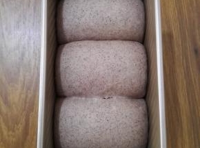 12、面团发酵至模具八分满后取出，烤箱预热上、下火180度，预热完成后将模具放入烤箱，上、下火180度烤36分钟，烤制完成取出晾凉即可。