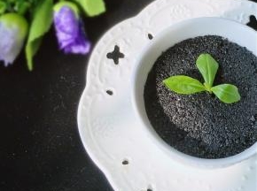 打好的酱是很黏很稠的，吃的时候用水或油渫开就行了。直接拌白糖也好吃，或吐司配上芝麻酱。