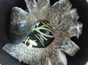 将洗干净的鱼盘好在锅底。