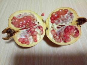 从切痕掰开。