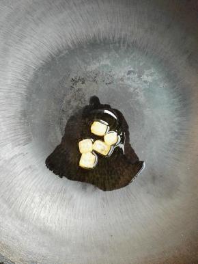 4、锅中加入少量油，加入冰糖，小火熬煮等冰糖融化。