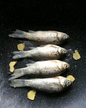 准备不粘锅，放入适量油，先把姜片炒一下，再放入鱼两面煎一下