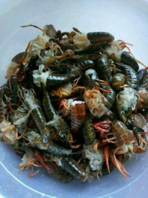 新鲜虾去头，去虾线，去尾，用小刷子刷洗干净