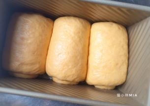 如图将3份面团卷起放入吐司盒