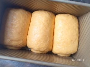 如图将3份面团卷起放入吐司盒