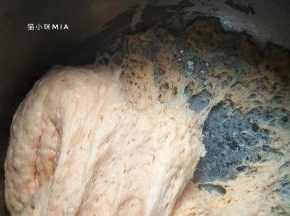 温暖处发酵至3倍大，用手扒开，里面有清楚的蜂巢状态