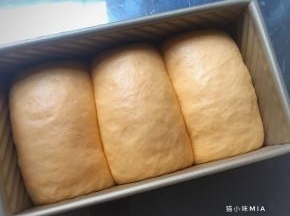 温暖处发酵至8分满