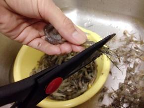 首先把小河虾的虾枪食物剪刀剪去