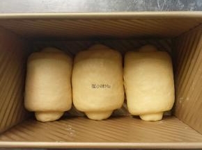 放入吐司盒中，温暖处进行二次发酵