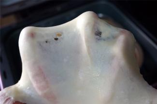 第二个程序结束后，已经可以拉出手套莫了。