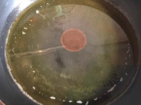 锅烧热，倒入适量油，将油烧热