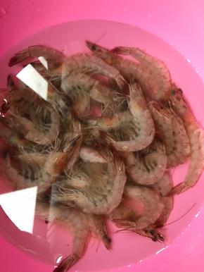 鲜虾洗净，去虾线