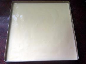 模具刷上一层烤盘油，然后倒入蛋糕糊，震荡出大气泡。