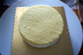 接着放入第二片蛋糕片。