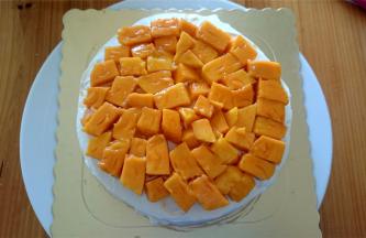 同样抹上一层奶油后放上芒果肉，再用奶油填平。