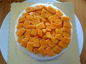 同样抹上一层奶油后放上芒果肉，再用奶油填平。