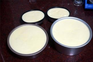 模具底部垫上吸油纸，倒入芝士蛋糕糊，并震荡出大气泡。