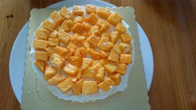 然后放上新鲜的芒果肉粒，尽量排满。