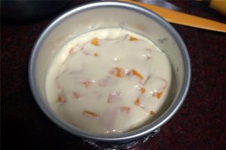 再倒入少许慕斯液填充芒果丁的空隙。