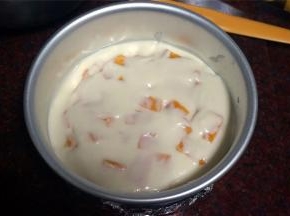 再倒入少许慕斯液填充芒果丁的空隙。