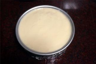 接着放入第二片蛋糕片，再四周的空隙以及蛋糕片上面均放上芒果肉粒。