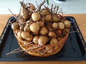 新鲜桂圆2千克。其实还可以多买一些。这个量只用了一层果干机。