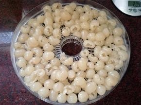 倒入果干机架子上。