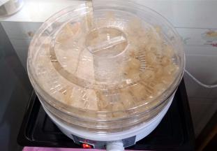 起动果干机，65度风干。