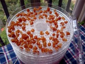 断断续续风干了3天就成了，非常的漂亮。