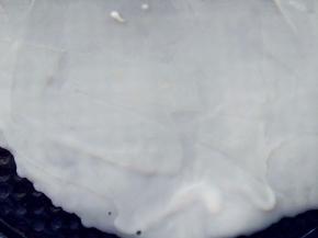 预热电饼铛或不粘锅，表面刷少许植物油，将面糊倒在锅中，用刮板刮匀后，小火煎至八成熟