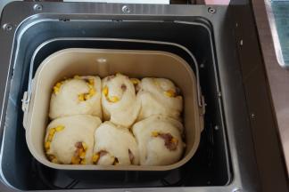 在面包桶上面盖一块拧干水的湿布，再盖上面包机盖。选择发酵功能，时间45-60分钟。发酵时间要根据面包坯发酵状态而定，一般发酵到有七八分满即可