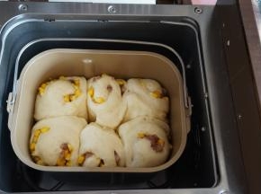 在面包桶上面盖一块拧干水的湿布，再盖上面包机盖。选择发酵功能，时间45-60分钟。发酵时间要根据面包坯发酵状态而定，一般发酵到有七八分满即可